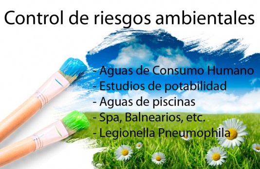 Evaluación, Prevención y Control de Riesgos Ambientales